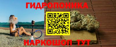 гашик Краснознаменск