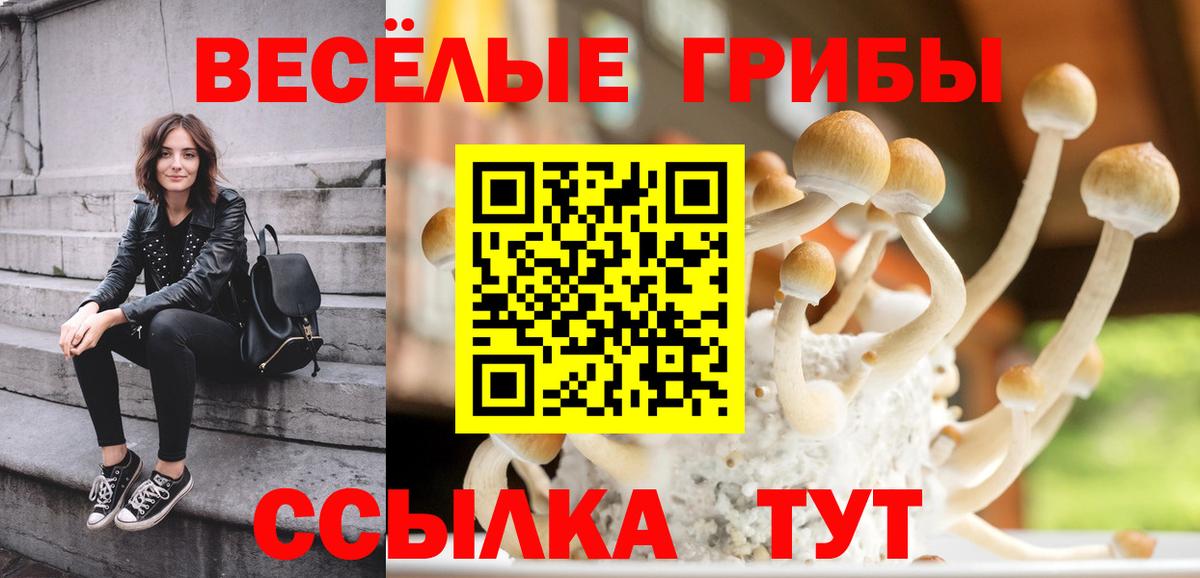 Псилоцибиновые грибы Psilocybe Керчь